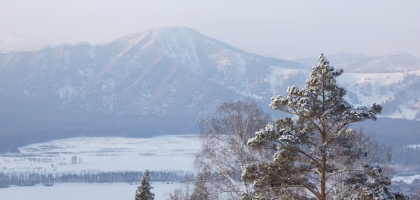 Winterland (Altai '16)