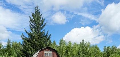 Novosibirsk Bike Adventure '24 (July 20, 2024)