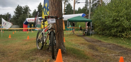 Various Bicycle Photos