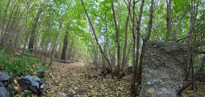 'Rechkunovka'