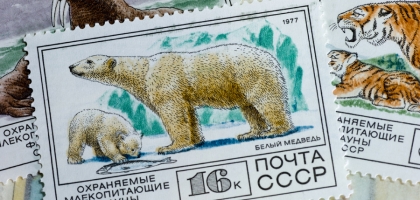 Mail This to Siberia