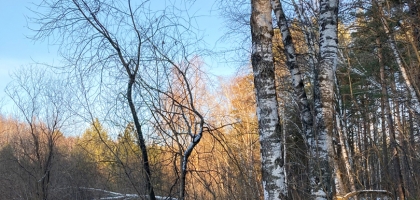 Nature