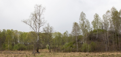 Sokoliny Kamen' & Barsukovo Cave (2014)