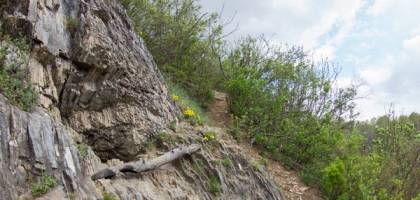 Sokoliny Kamen' & Barsukovo Cave (2014)