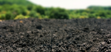 Sicilian Pastorale: The Little One