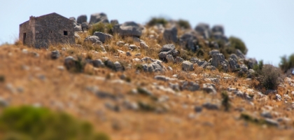 Sicilian Pastorale: The Little One