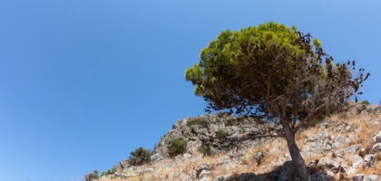Day 14 (La Rocca Trip)