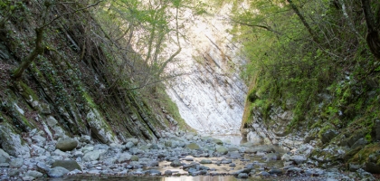 Sochi 2014